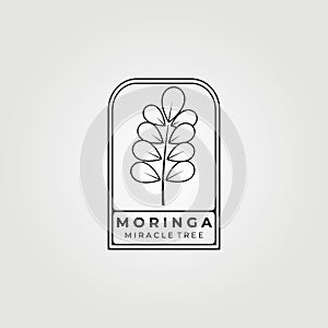 moringa oleifera , miracle tree logo vector illustration design, natural medical , a million benefits