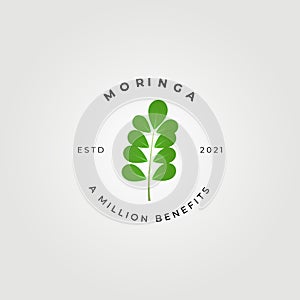 moringa oleifera , miracle tree logo vector illustration design, natural medical , a million benefits