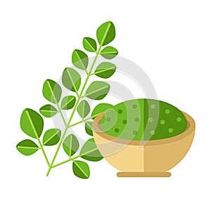 Moringa plant with leaves and seed powder. Vector illustration. photo
