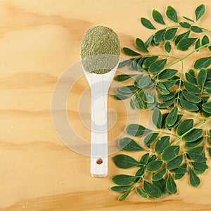 Moringa powder Moringa oleifera