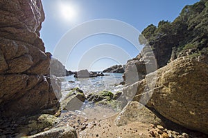 In the Morisca cove of Tossa de Mar, Costa brava photo