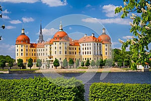 Moritzburg castle at springtime