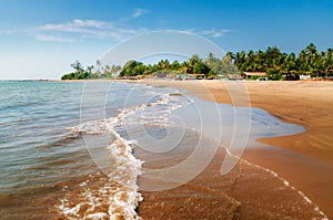 Morjim beach. Wooden fishing boats and palm trees, Goa, India