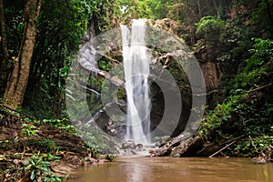 Mork fa Waterfall of Doi Suthep Pui national park photo