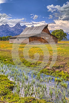 Mormon Row Grand Teton