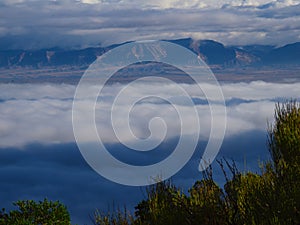 Mormon Tea and Fog Over Valley