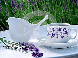 Morning aromatic coffee in the garden of blooming lavender.