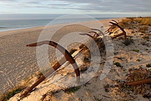 Morning atmosphere at the beach with anchors