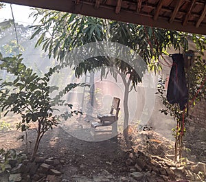 Morning atmosphere in the village, mist rising from between the leaves of the mango tree, bright sunlight.