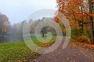 Morning autumn fog in Alexander park in Tsarskoe Selo Pushkin, St. Petersburg, Russia