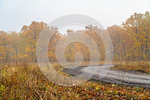 Morning autumn fog over a dry yellow meadow, forest and forest path