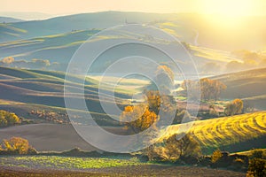 Morning Autumn landscape - fall season and sunshine