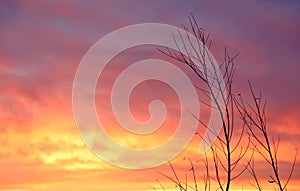 Morning autumn sky as a background for sad inscriptions