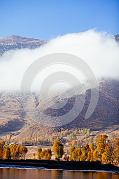 Morning autumn village