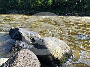 In the morning, on the banks of the Serayu River in Banjarnegara, Java, Indonesia photo