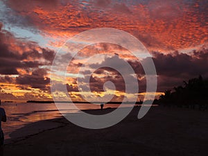Morning on the beach