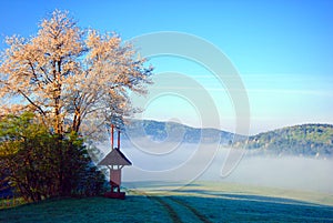 Morning fog in Beskid Niski mountains