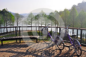 Morning bike in Sun Moon Lake