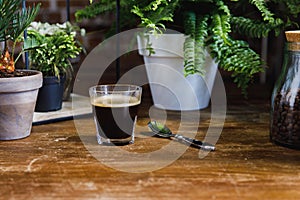 Morning black coffee in glass on table with plants