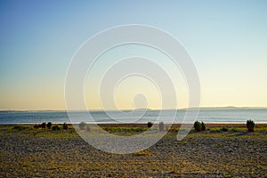 The morning of Boston Revere Beach, Revere, Massachusetts, USA. It is a first public beach in America.