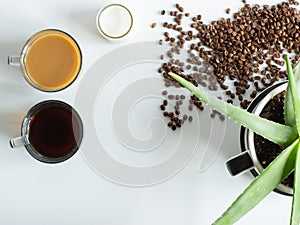 Morning breakfast coffee for two and creamer with growing plant in coffee mug and coffee beans