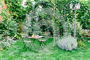 Morning Breakfast In Green Garden With French Croissant, Coffee Cup, Orange Juice, Tablet and Notes Book On Wood Table