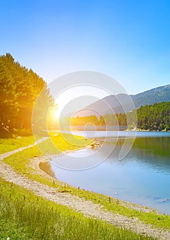 Morning with bright sun on the shore of picturesque lake