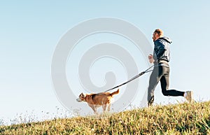 Morning Canicross exercise. Man runs with his beagle dog photo