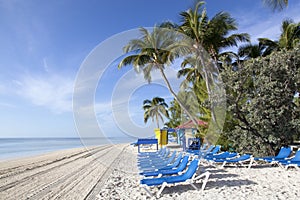 Morning On Caribbean Island