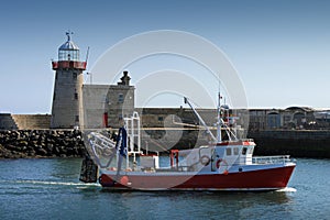 Morning Catch Howth Harbour photo