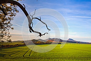 The morning in Central Bohemian Highlands, Czech Republic