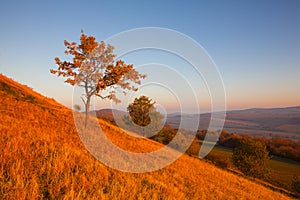 Morning in Central Bohemian Uplands, Czech Republic