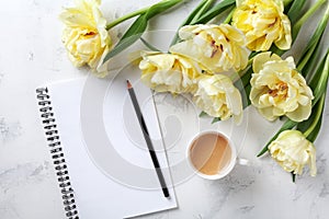 Morning coffee, clean notebook and beautiful bunch of tulip flowers on white stone table top view. Flat lay. Cozy breakfast.