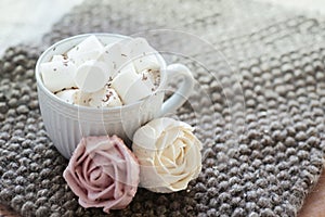 Morning coffee with homemade natural sweets. Marshmallow spree for diabetics