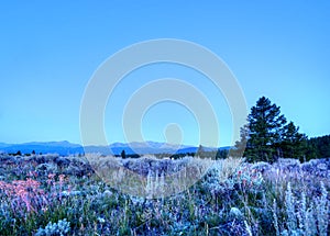 Morning in Colorado Rockies