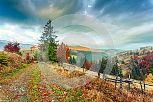 Morning in colorful autumn landscape in Romania