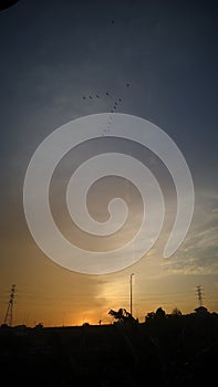 Morning comes to bring life