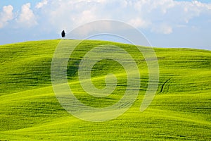 Morning on countryside, San Quirico dÂ´Orcia, Tuscany, Italy