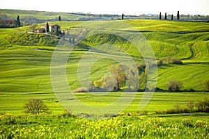 Morning on countryside, San Quirico dÂ´Orcia, Tuscany, Italy