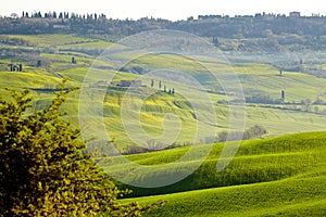 Morning on countryside, San Quirico dÂ´Orcia, Tuscany, Italy