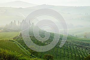 Morning on countryside, San Quirico dÂ´Orcia, Tuscany, Italy