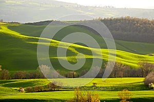 Morning on countryside, San Quirico dÂ´Orcia, Tuscany, Italy