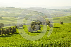 Morning on countryside, San Quirico dÂ´Orcia, Tuscany, Italy