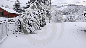 Morning in the countryside .Snow covered the landscape.Winter landscape.