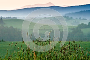 Morning in the countrysides