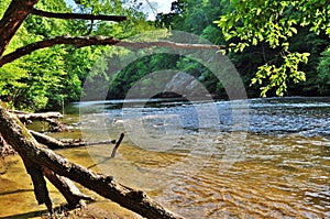 Morning on Dan river