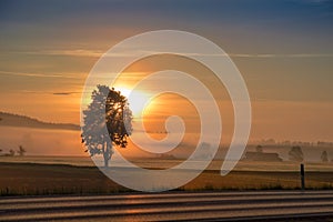 Morning dawning sun over hazy field and country road photo