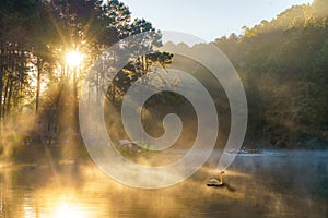 Morning Day in Pang Ung Lake, Tourist famous place where people come to vacation in the winter in Mae Hong Son near Chaing Mai,