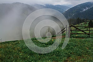 Morning dew fog sun rays in mountains