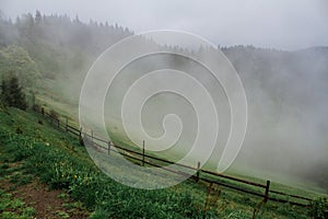 Morning dew fog sun rays in mountains photo